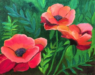 Poppies